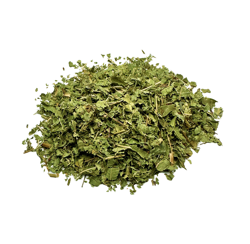 Lemon Verbena