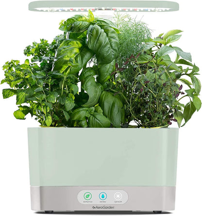 Grow Fresh Herbs All Year Round with the  AeroGarden Harvest