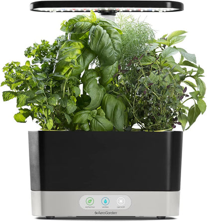 Grow Fresh Herbs All Year Round with the  AeroGarden Harvest