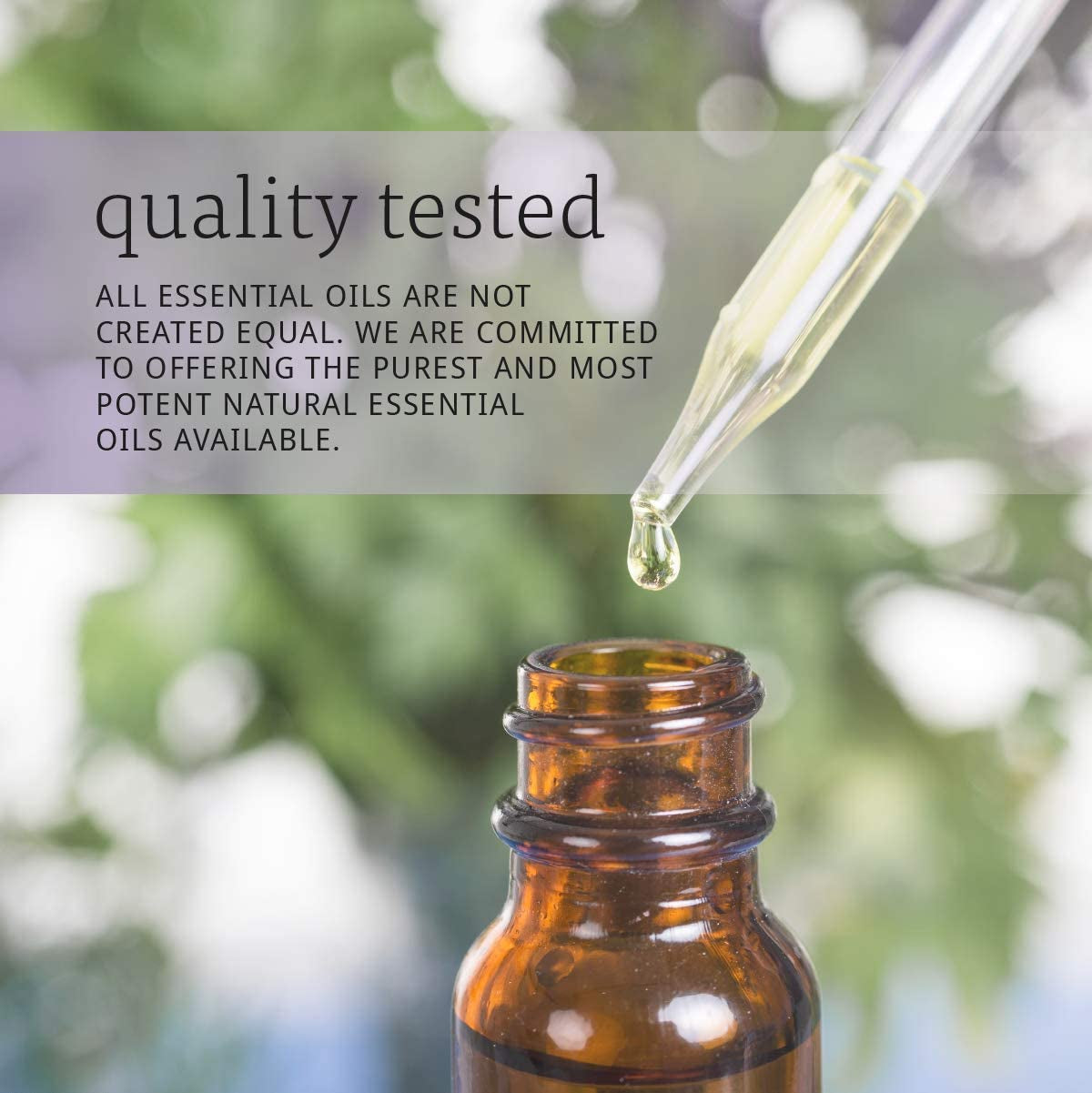 Revitalize Your Senses with 100% Pure Sweet Bergamot Essential Oils, 1-Ounce  Aromatherapy Scent