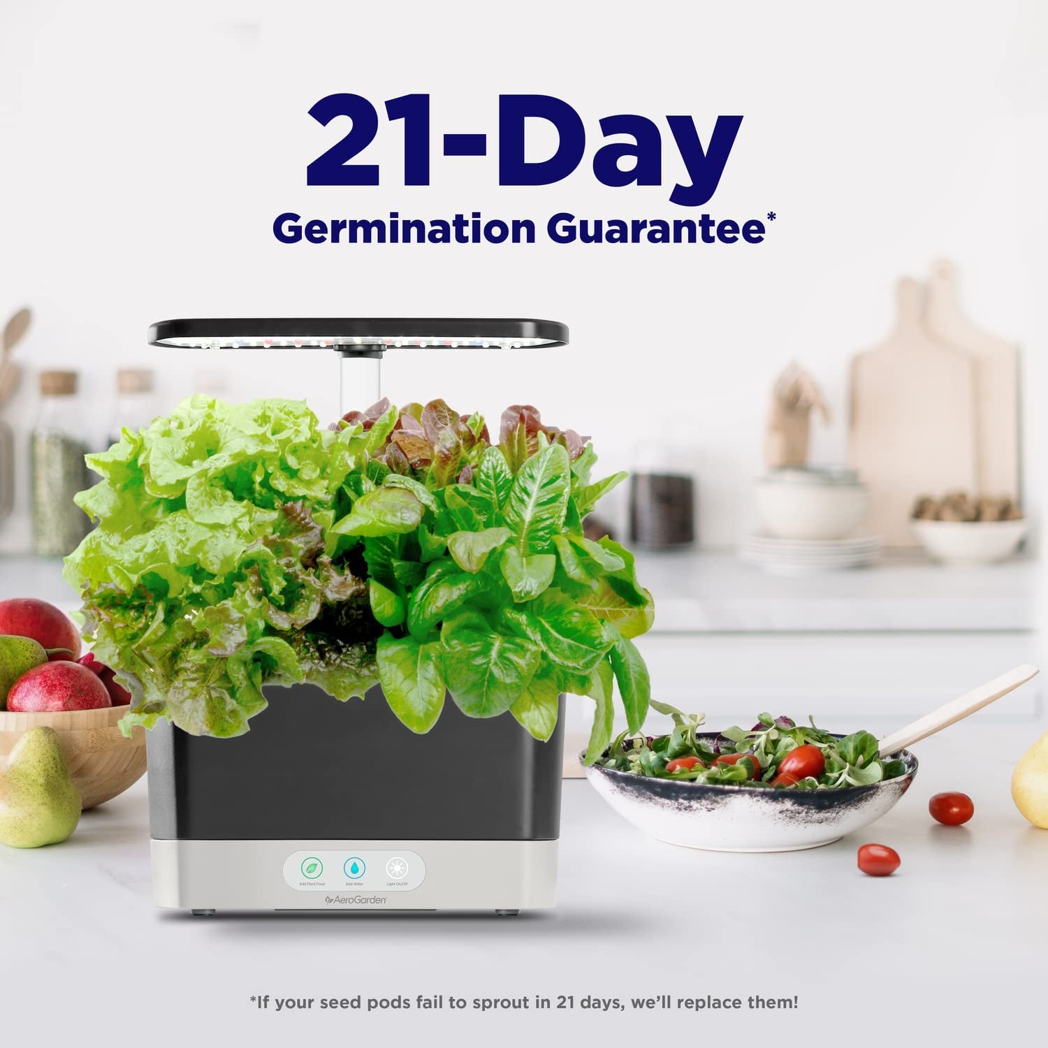 Grow Fresh Herbs All Year Round with the  AeroGarden Harvest