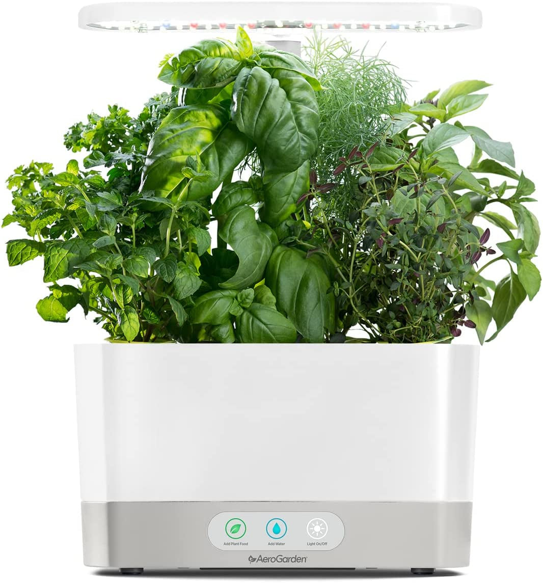 Grow Fresh Herbs All Year Round with the  AeroGarden Harvest